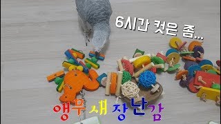 팽이한테 장난감을 줘 봤더니..?