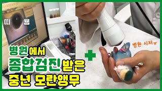 병원에서 종합검진 받은 중년 모란앵무