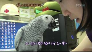 TV동물농장(571회)_02