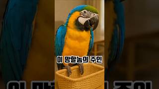 욕쟁이 앵무새가 개과천선한 이유