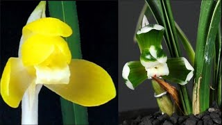 12월14일 수요일 좋은 품종으로 10분 준비했습니다