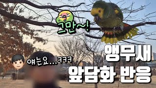 [수리] 앞담화했더니 화내는 앵무새 / #말하는앵무새 #앵무새키우기