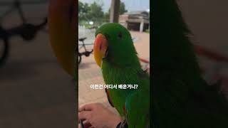 이건 어디서 배웠는지;;; 알수기 없네요.. #parr…