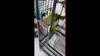 썬코뉴어 오도독 오도독 식사하는 소리~