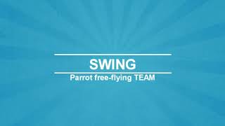 추석-앵무새의 날3