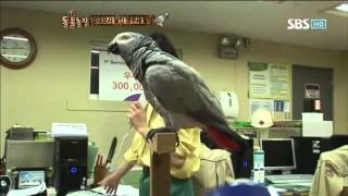 동물농장 571회 #2