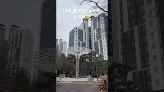 [루카의모험] 할리퀸마카우 루카의 놀이터