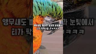 저~ 저 눈빛봐라 눈빛  표정과 눈빛에서 삐진 티를 팍…