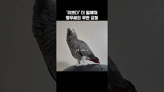 사랑스러운 집착! '이쁘다' 계속 듣고 싶대요~  / …