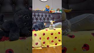 김유정이 한심한 김루이ㅋㅋㅋㅋ