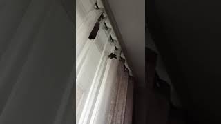 소망이의 놀이터 혼자서도 잘 노네 (코뉴어)