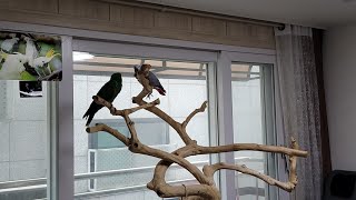 실시간소통 해요~