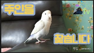 주인을 찾습니다. 오디가오디가오디가