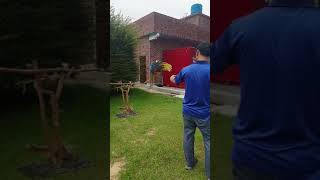 청금강 호출훈련