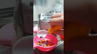 우리집앵무새는밥을먹다ㅎㅋ. #체스넛마카우 #체스넛 #앵무새 #앵무새먹방 #앵무새키우기 #먹방 #간식