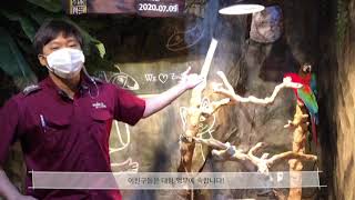 [하남] 7월_금강앵무_오래된골짜기