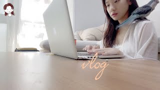 [일상 vlog] 앵무새와 함께하는 일상|눈오는 날|카페폐업|만두전골|오리고기|안녕하는앵무새