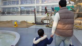 오월드 버드랜드~