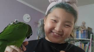 꽁패.앵무새.한스마카우.뽀미.한나.목욕.잠시안녕.202…