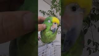 아빠! 오늘도 새벽에 출근하는거야!