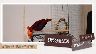 [Joey's 귀농일기_5] "진행상황보고!!!"