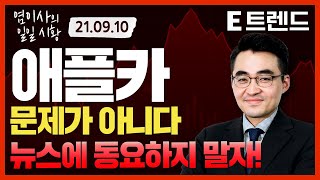 애플카 뉴스에 흔들리는 현대차 기아 주식! 동요하지 말…