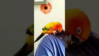 썬코뉴어 조식 빠바 그대로토스트 최고!