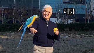 [청금강] 아빠가 도일이를 꼬시는 방법/ How my dad plays with Doit