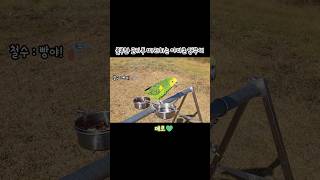 몰루칸 코카투 따라하는 아마존 앵무새 / 몰루칸코카투가…