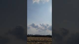 #앵무새자유비행#독수리 같이 날라갔다오는 녀석들#마카우#홍금강#김홍시#가온#루이#루루