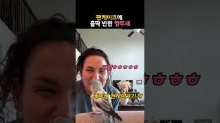 팬케이크에 홀딱 반한 앵무새 #동물 #앵무새