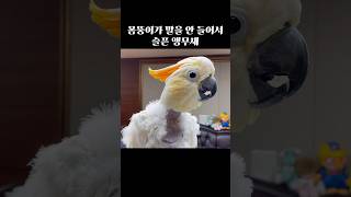 싫은데 좋고, 좋은데 싫은의 첫 출발점 #다시보고싶은영…