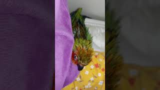 썬코뉴어목욕후 ㅋㅋㅋ