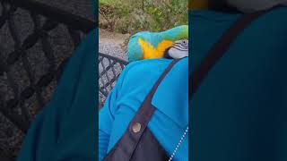 청금강 애교애교~~♡♡