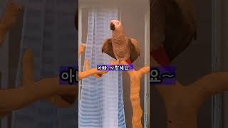 궁금한 건 못 참는 앵무새 연구대상똘이#shorts