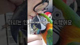 엄마의 끝없는 잔소리에 다시는 안싸우겠다고 약속하는 앵…