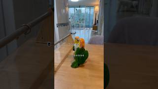 카이큐를 두 마리를 키워야 하는 이유!