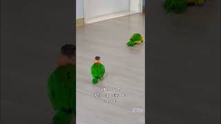 엄청난 스킬을￼ 소유하고 있는 카이큐￼~