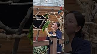 앵무새가 말을 한다고? 대전 오월드 버드랜드, 말하고 노래하는 앵무새들의 특별한 쇼!