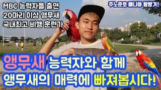 [내반소]국내 최고 앵무새 능력자! 앵무새 매니아를 만나보았습니다!(주노준호)
