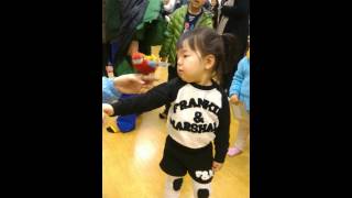 앵무새 어깨 올려보기