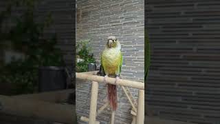 오랜만에 만난 이모 반가워 방언 터지며 온몸으로 표현하…