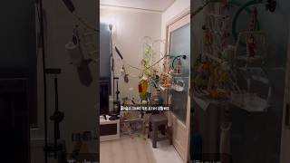 로또럭키 세상 Lotto Lucky World