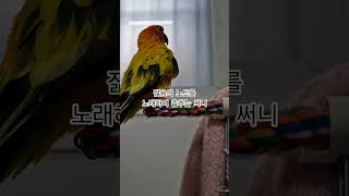 써니~제대로 필 받았구나!  #썬코뉴어 #parrot …