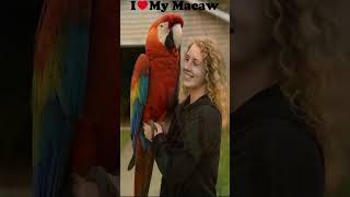 I love my Giant Macaw #macaw #…