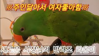 10월30일 재오픈한 해피버드데이 다녀왔어요 #친칠라 …