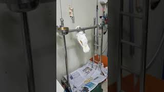 엄브렐라코카투 보리에 유격훈련!!