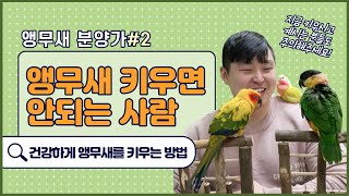 [앵무새 키우기]앵무새를 건강하게 반려하는 법, 세상에 똑같은 앵무새는 없어요!