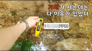 가재가 살고있는 계곡에는 다 이유가 있습니다.