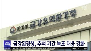 조류경보 지속..금강청, 추석 기간 녹조 대응 강화/대…